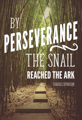 Picture of PERSEVERANCE