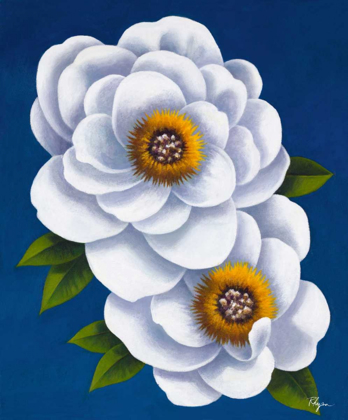 Picture of WHITE FLOWERS ON BLUE I