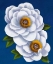 Picture of WHITE FLOWERS ON BLUE I