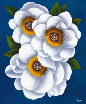 Picture of WHITE FLOWERS ON BLUE II