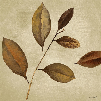 Picture of ANTIQUED LEAVES I