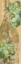 Picture of PINOT GRIGIO