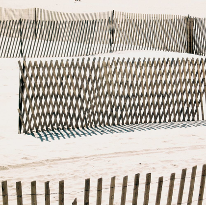 Picture of BEACH FENCE II