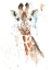 Picture of WATER GIRAFFE