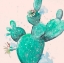 Picture of CACTUS IN BLOOM ON BLUSH