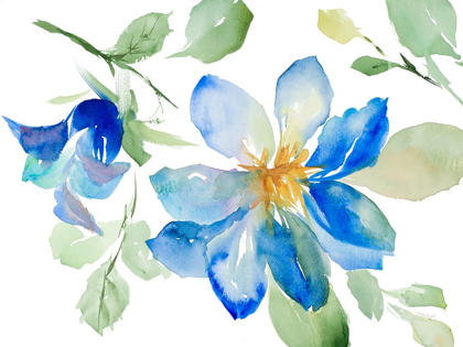 Picture of CLEMATIS IN BLUE SHADES