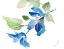 Picture of CLEMATIS BRANCH WITH NEW FLOWER