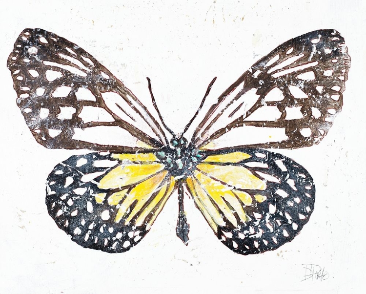 Picture of NEW BUTTERFLY