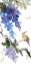 Picture of EAST OF FULL MOON WISTERIA