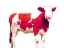 Picture of BRIGHT RED SWISS COW