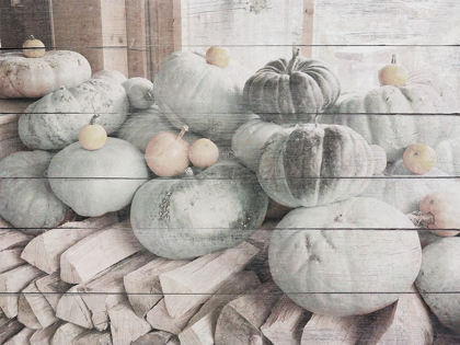 Picture of PUMPKINS IN FALL