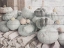Picture of PUMPKINS IN FALL