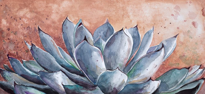 Picture of BLUE AGAVE