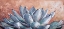 Picture of BLUE AGAVE