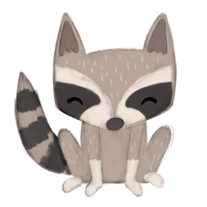 Picture of RACOON