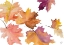 Picture of HARVEST LEAVES I