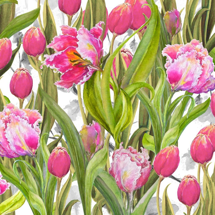 Picture of TULIP SYMPHONY I