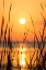 Picture of SUNSET ON THE LAKE I