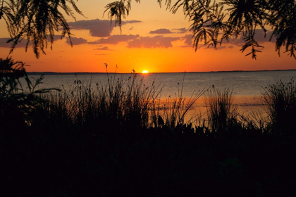 Picture of SUNSET SEASIDE