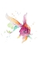 Picture of FIN-TASTIC II