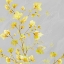 Picture of EARLY YELLOW BLOOM