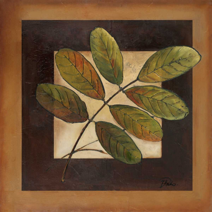 Picture of LEAVES OVER BROWN II
