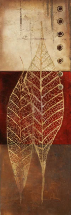 Picture of FOSSIL LEAVES I