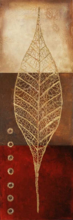 Picture of FOSSIL LEAVES II