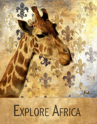 Picture of EXPLORE AFRICA