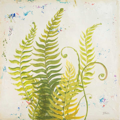 Picture of NICE FERNS II