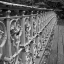 Picture of WALK ACROSS I
