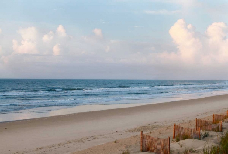 Picture of BEACH DAY