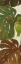 Picture of GREEN TOUCH PANEL I