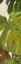 Picture of GREEN TOUCH PANEL II