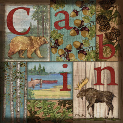 Picture of C IS FOR CABIN