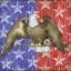 Picture of BRAVE EAGLE I
