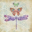 Picture of ENCHANTING WINGS II