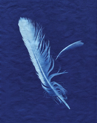 Picture of INDIGO FEATHER I