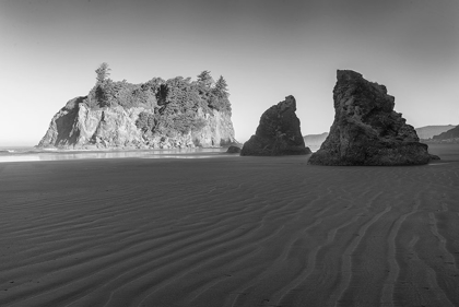 Picture of RUBY BEACH MORNING II BW