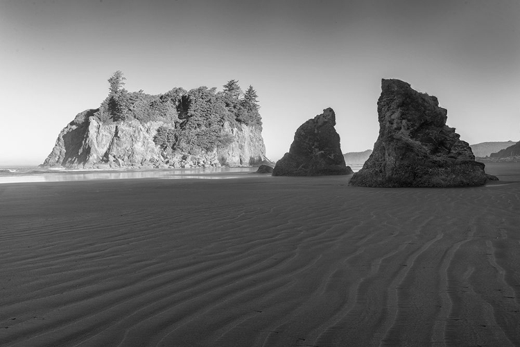 Picture of RUBY BEACH MORNING II BW