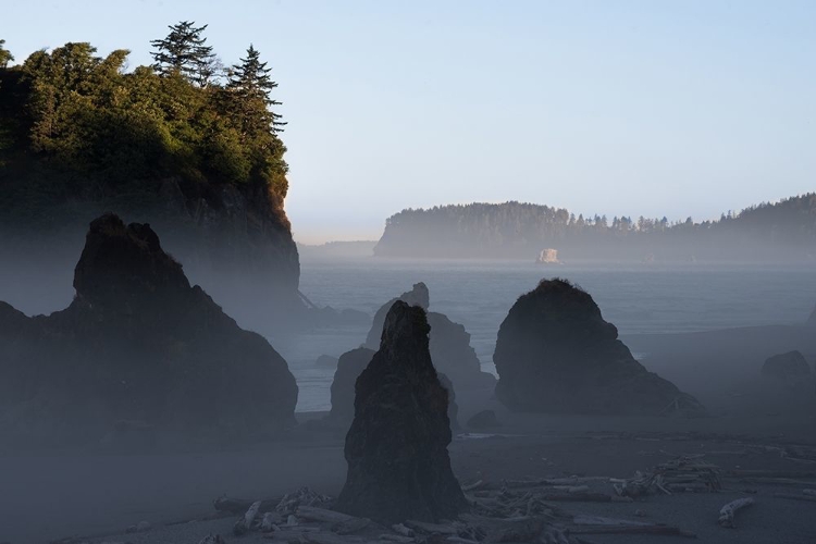 Picture of RUBY BEACH MORNING III