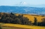 Picture of DUNDEE HILLS I