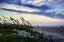 Picture of A DISAPPEARING SUNSET II