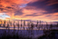 Picture of SEPTEMBER SUNRISE III