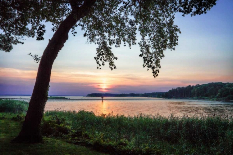 Picture of COBB ISLAND SUNSET I