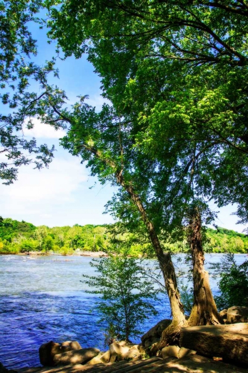 Picture of SPRING ON THE RIVER III