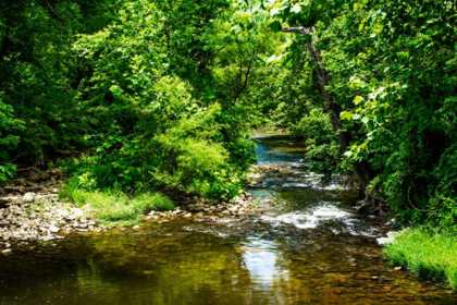 Picture of SMALL MOUNTAIN STREAM I