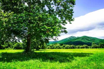 Picture of RAPPAHANNOCK COUNTY II