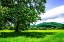 Picture of RAPPAHANNOCK COUNTY II
