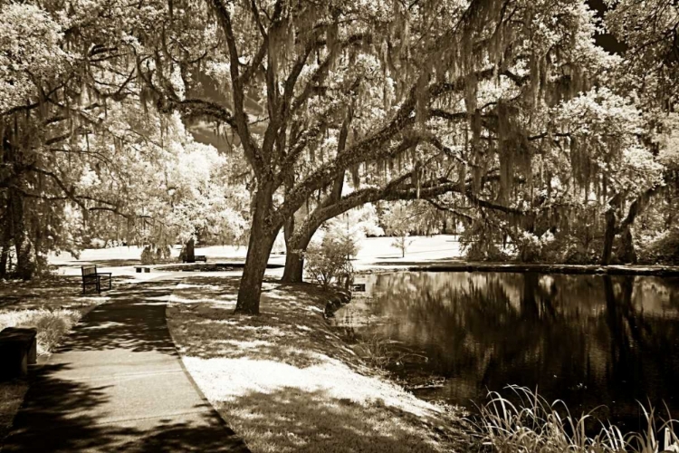 Picture of WALKERS POND I